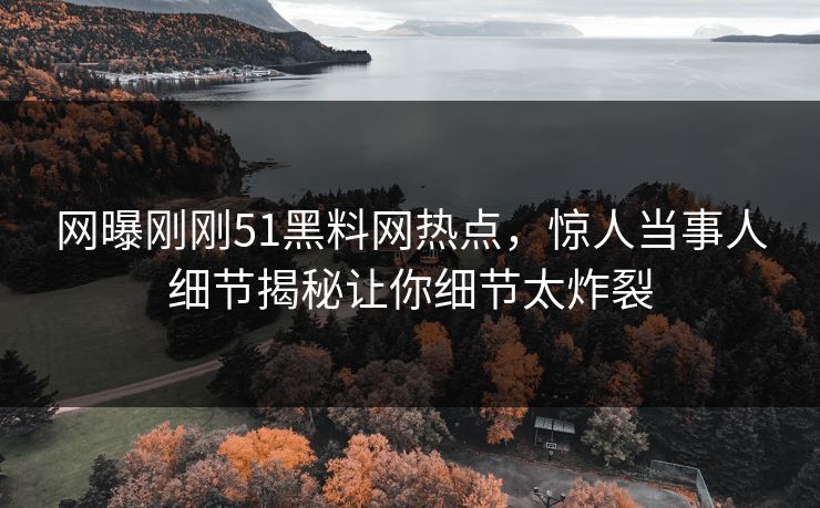 网曝刚刚51黑料网热点，惊人当事人细节揭秘让你细节太炸裂