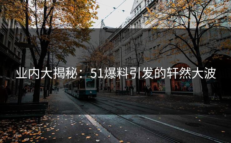 业内大揭秘：51爆料引发的轩然大波