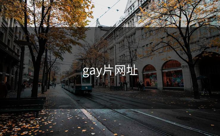 gay片网址
