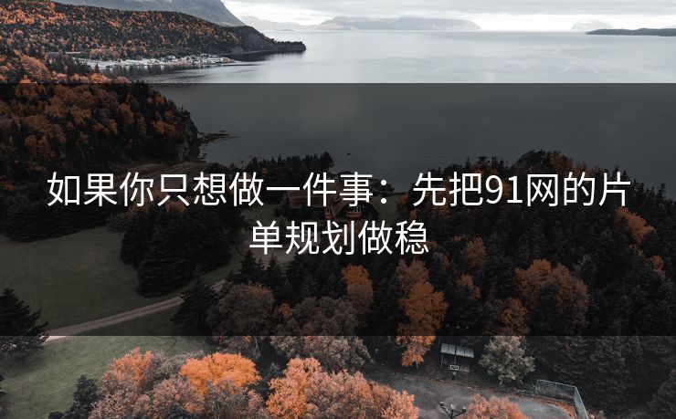 如果你只想做一件事：先把91网的片单规划做稳